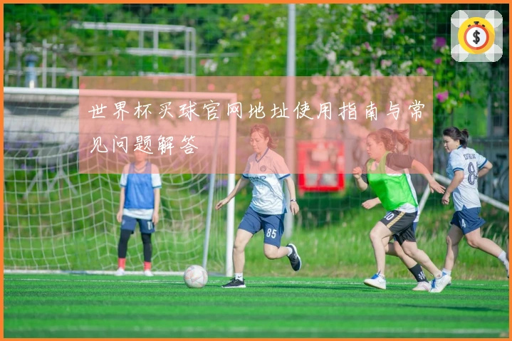 世界杯买球官网地址使用指南与常见问题解答