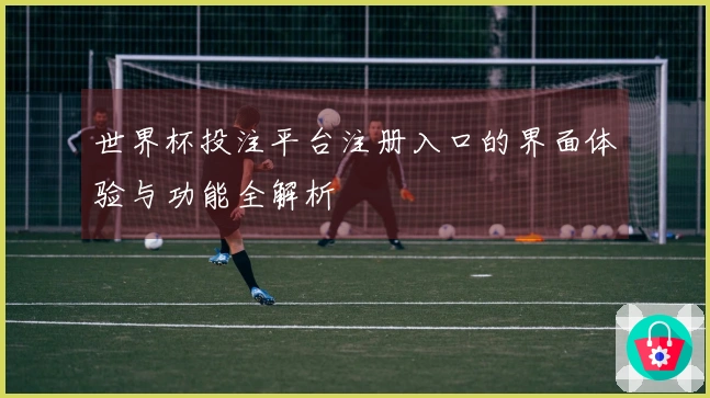 世界杯投注平台注册入口的界面体验与功能全解析