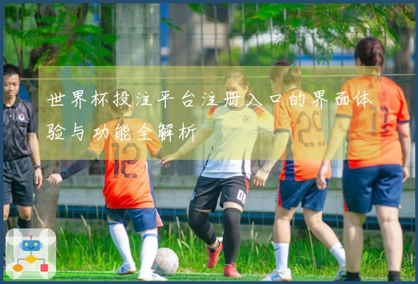 世界杯投注平台注册入口的界面体验与功能全解析