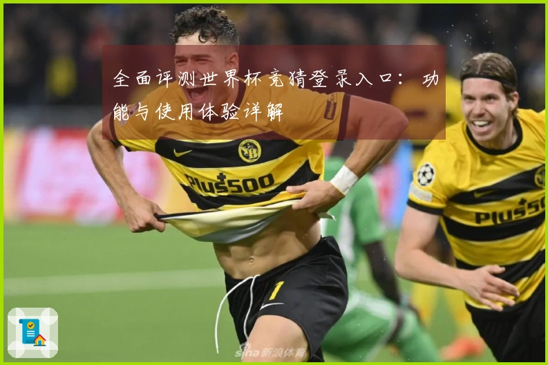 全面评测世界杯竞猜登录入口：功能与使用体验详解