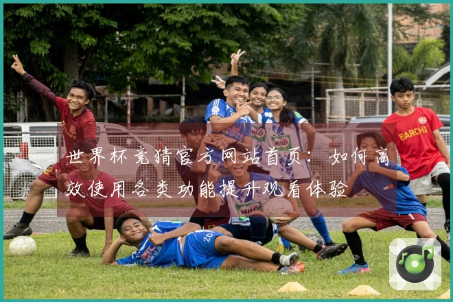 世界杯竞猜官方网站首页：如何高效使用各类功能提升观看体验