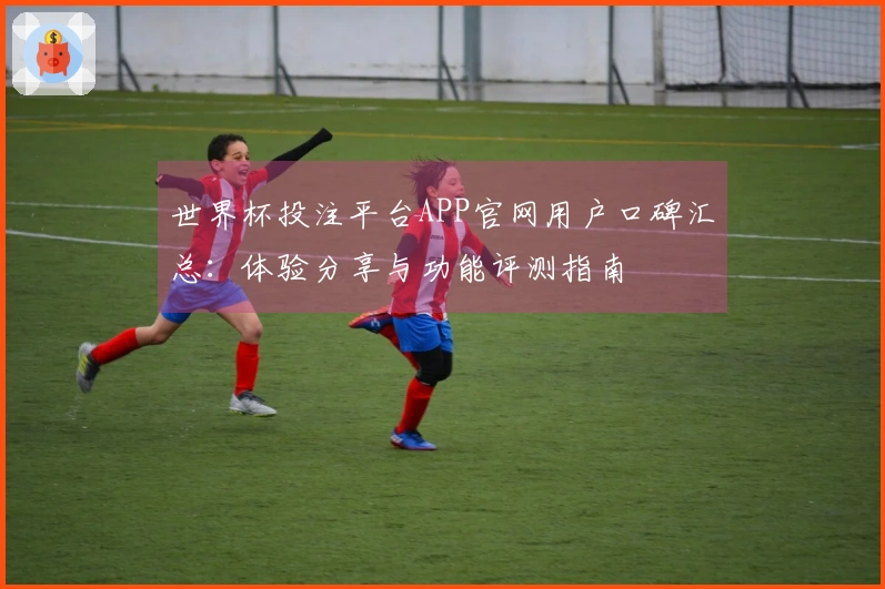 世界杯投注平台APP官网用户口碑汇总：体验分享与功能评测指南