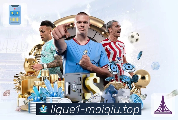 世界杯投注平台网页版入口使用体验评测：功能深入解析与用户反馈总结