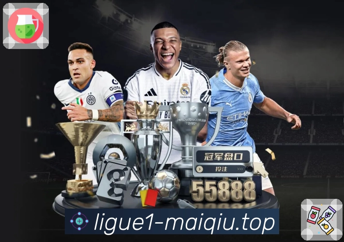 稳定访问登录器